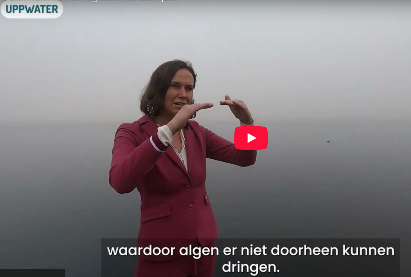 Video: Wat doen we tegen algenbloei?