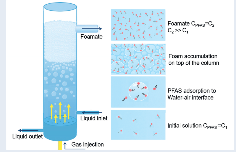 Foam fractionation of concentrates for PFAS removal