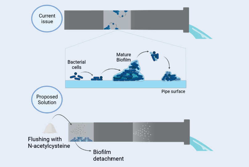 Beyond chlorine: alternative sustainable compounds