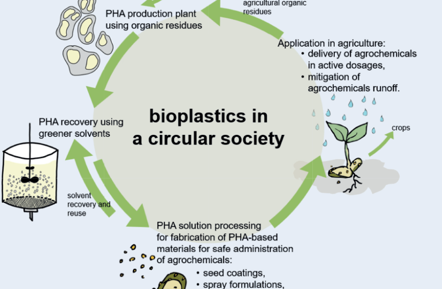 Fabrication of PHA-based release systems for agrochemicals